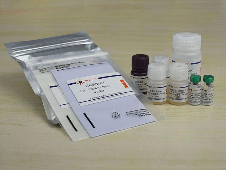 Rat Insulin ELISA Kit (Ultrasensitive)